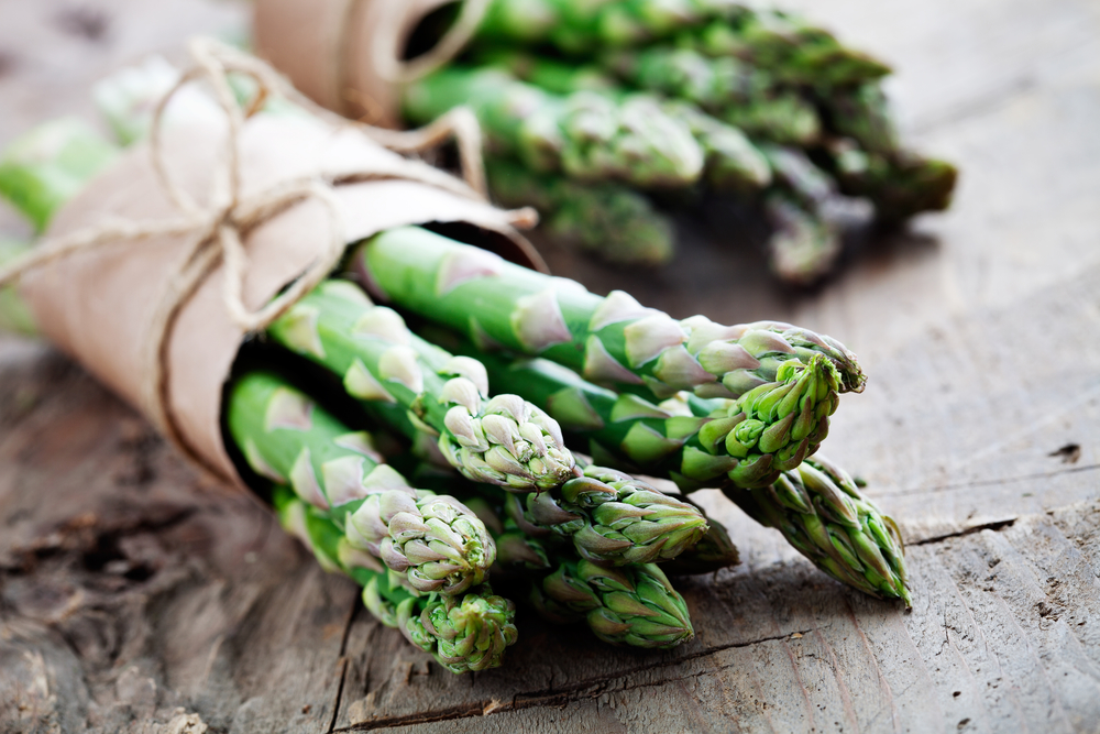 Fresh green asparagus spears emerging from garden soil in spring