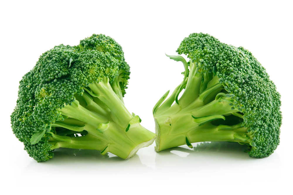 Fresh broccoli head with tight green florets