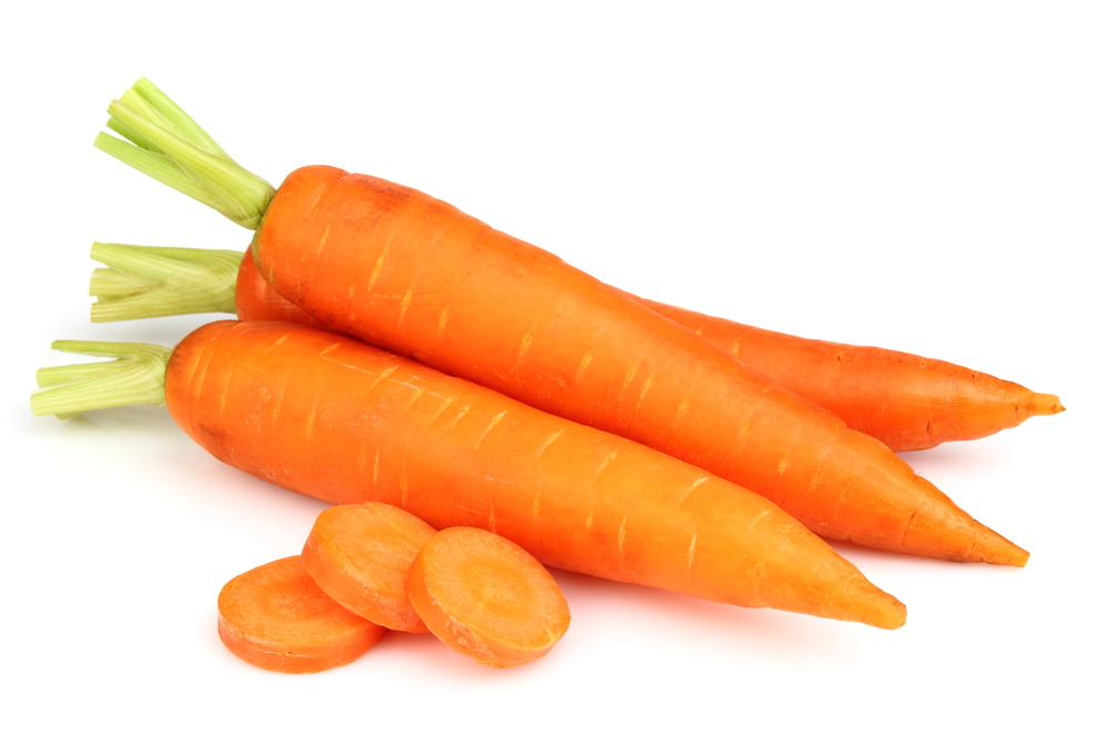 Fresh carrots with tops pulled from garden soil