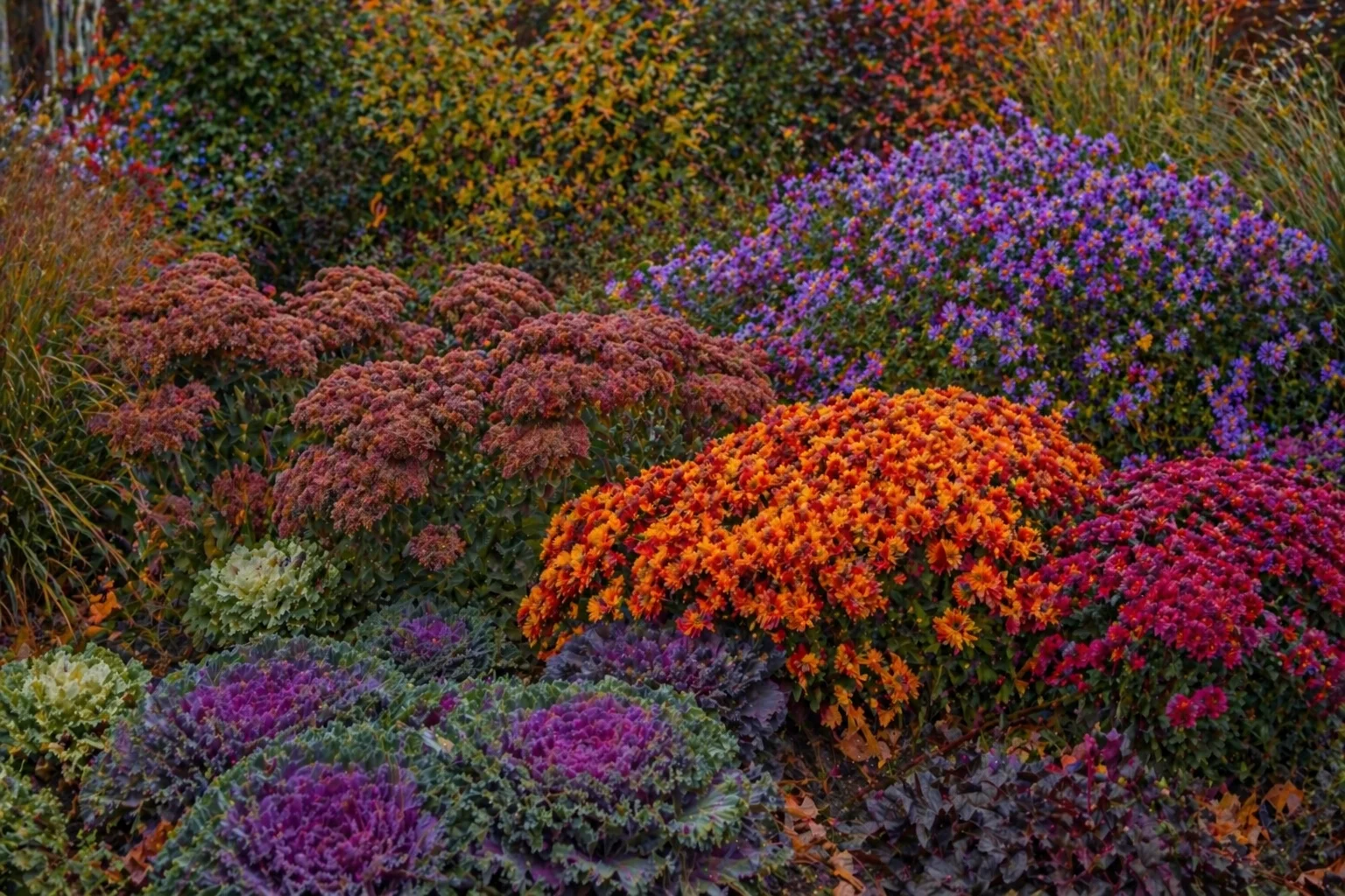 Fall Flowers planting in Washington