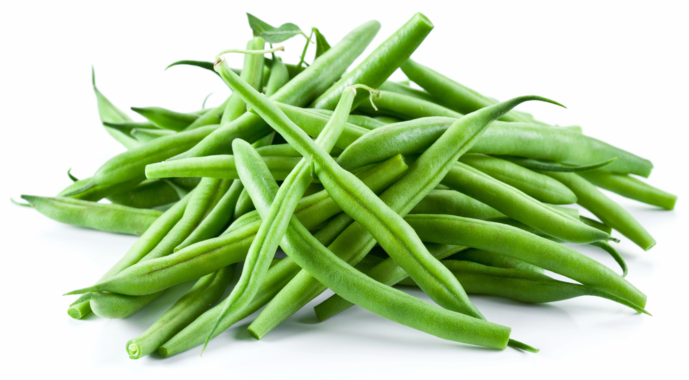 Fresh green beans on the vine ready to harvest