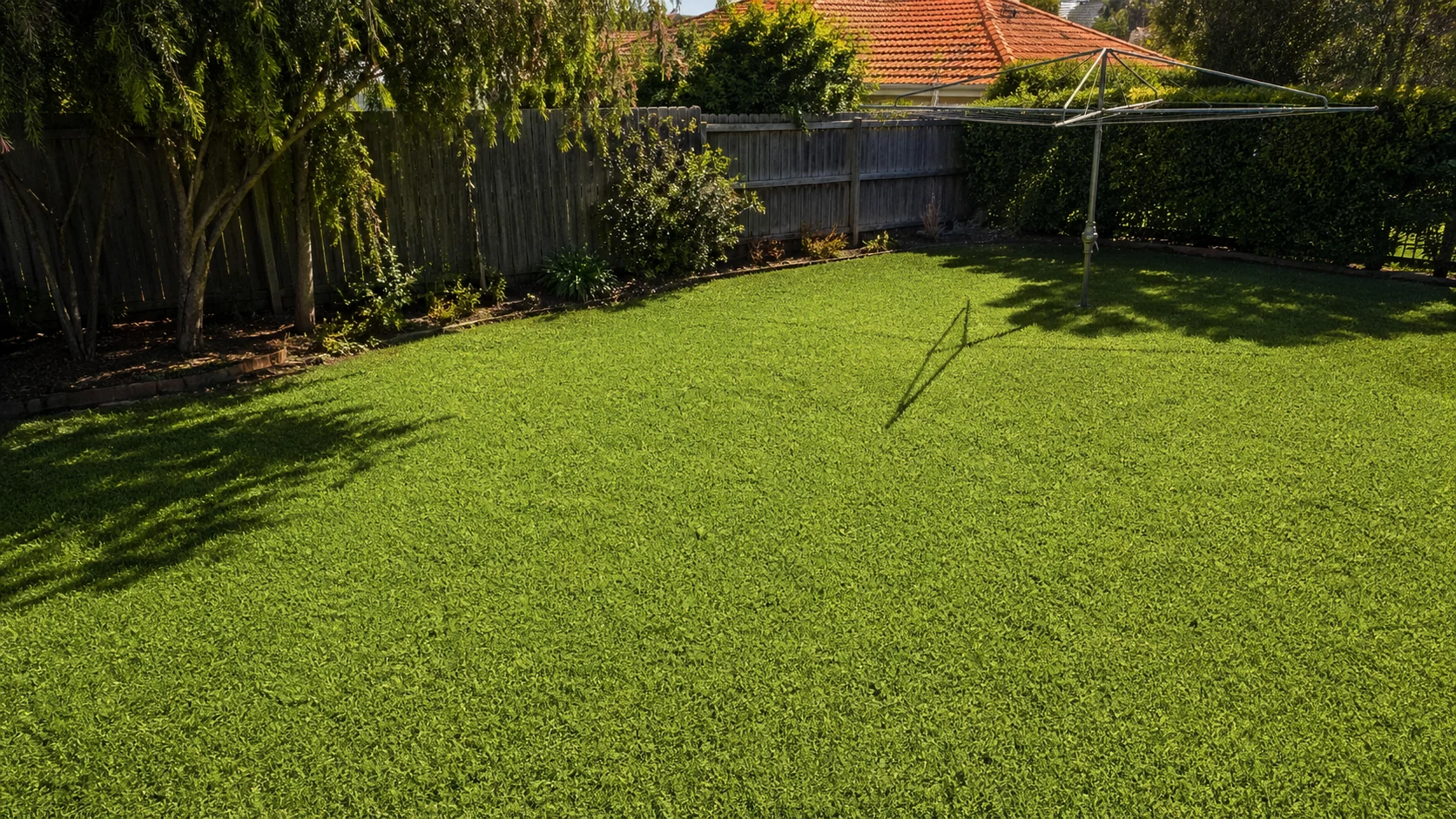 Australian suburban lawn with Buffalo grass