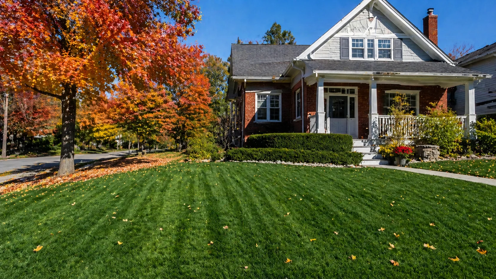 Canadian front lawn in autumn with maple tree