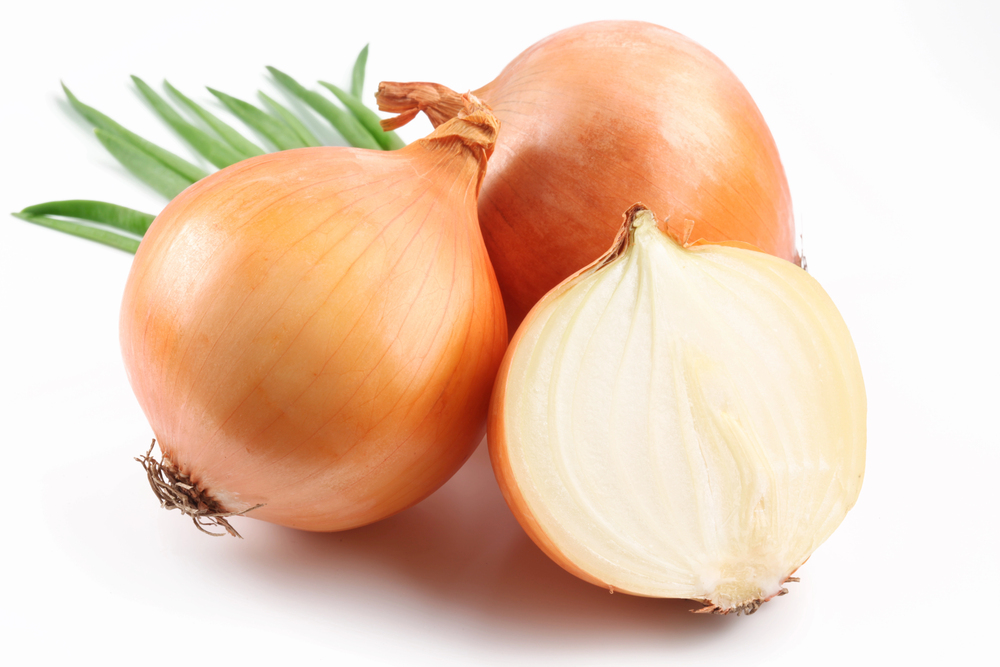 Fresh yellow onions freshly harvested