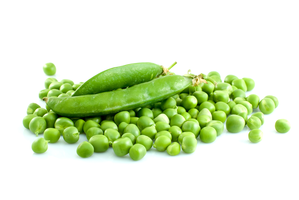 Fresh green pea pods on the vine