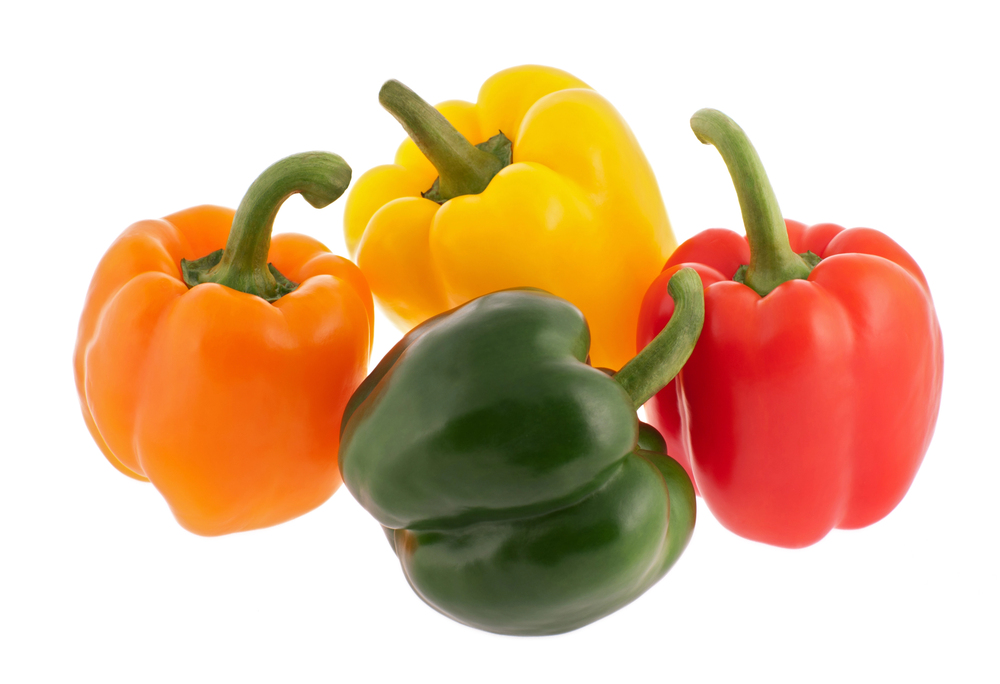 Colorful red, yellow, and green peppers in garden