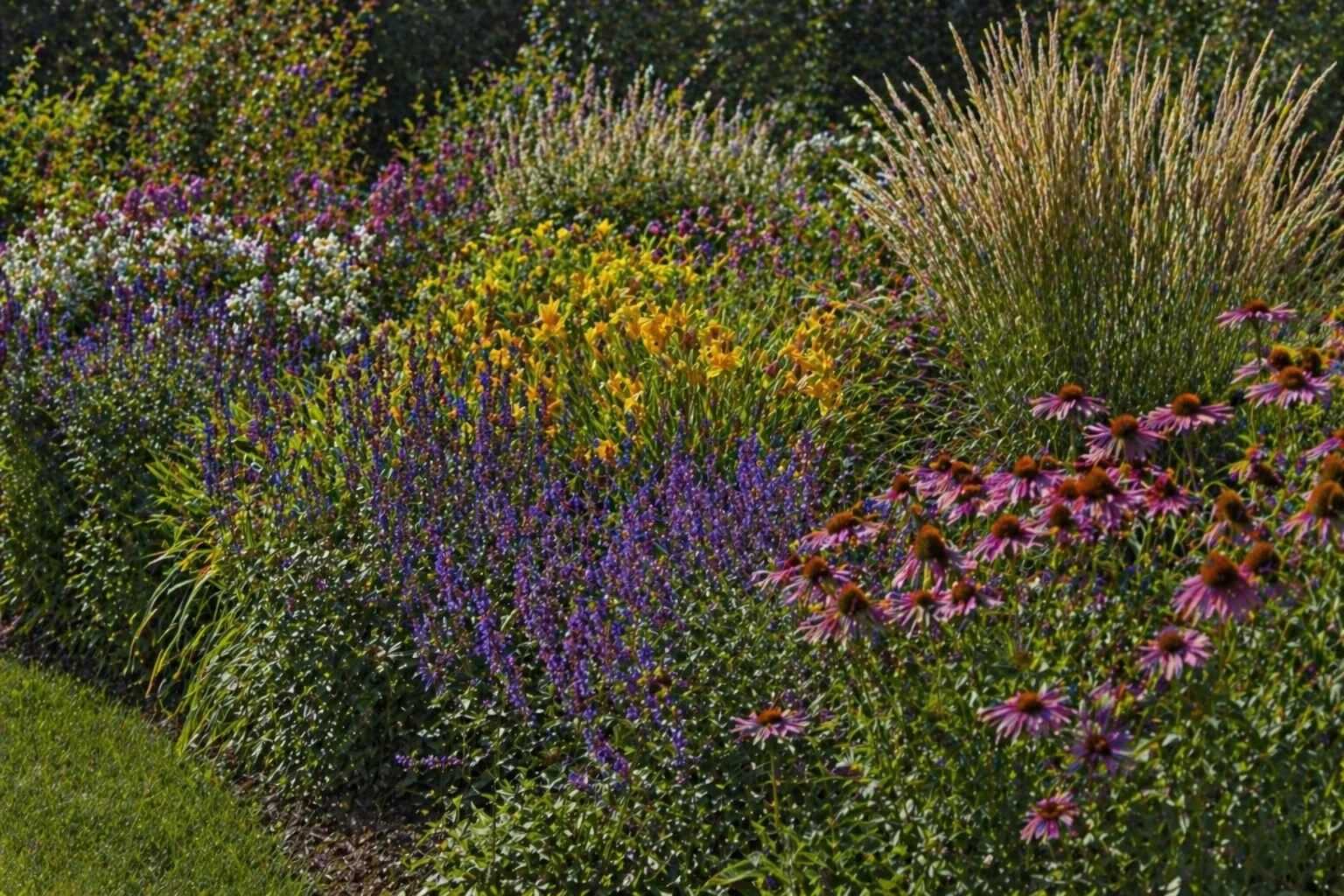 Perennials planting in Canada