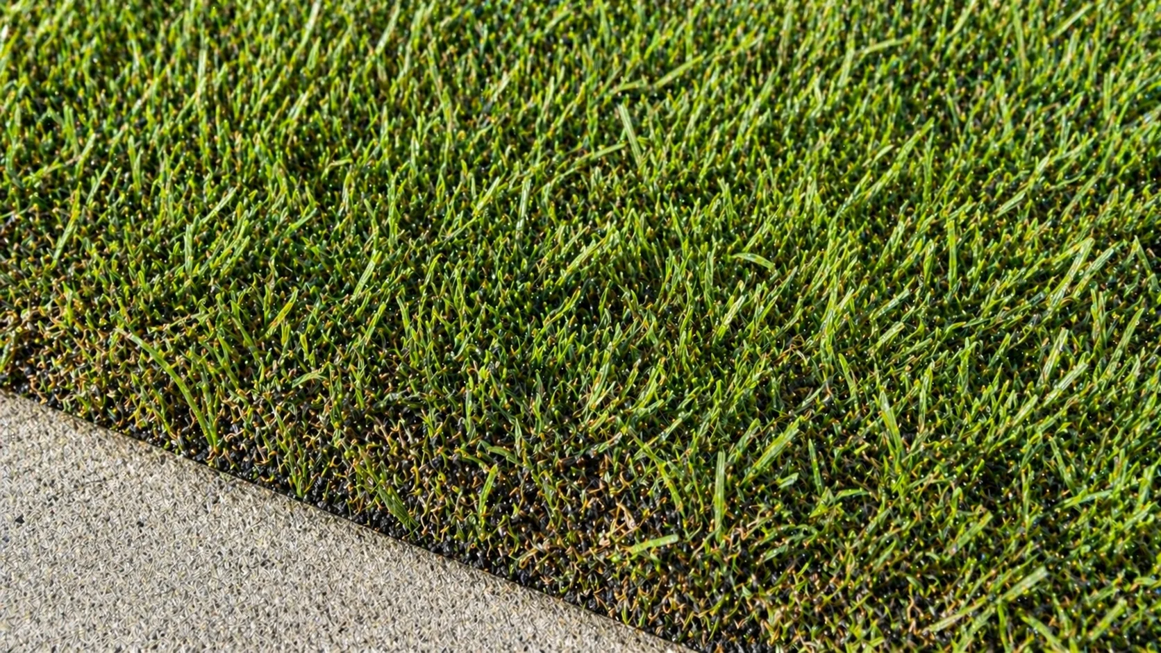 Close-up of realistic artificial turf texture