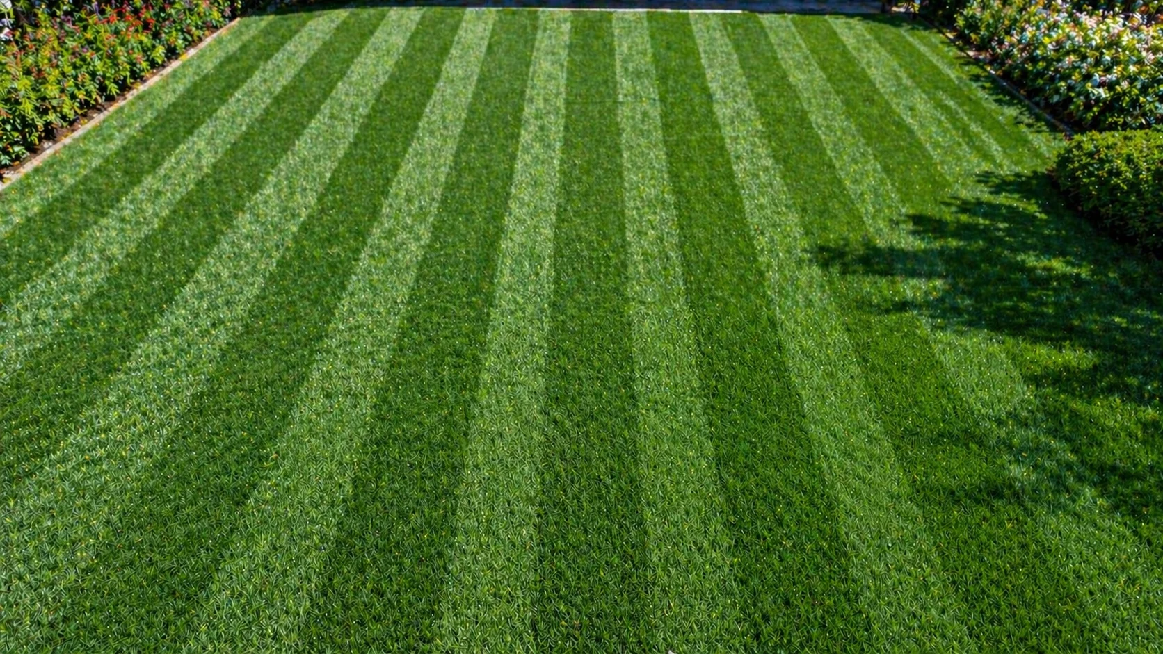 Perfectly striped lawn with mowing pattern