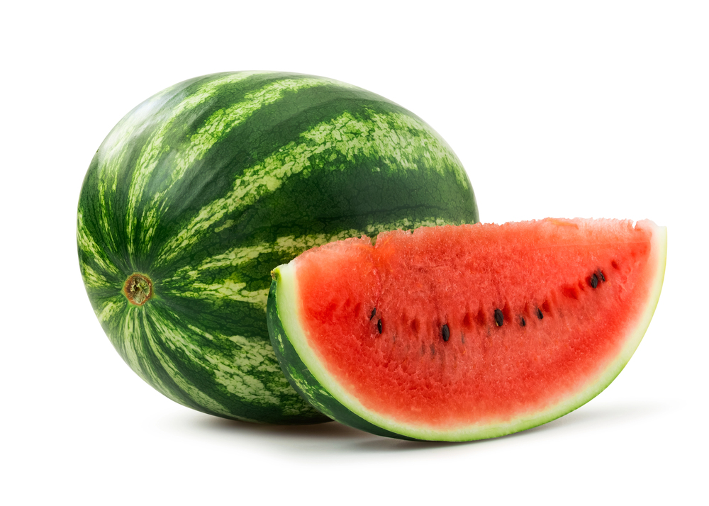 Ripe watermelon on the vine in a home garden