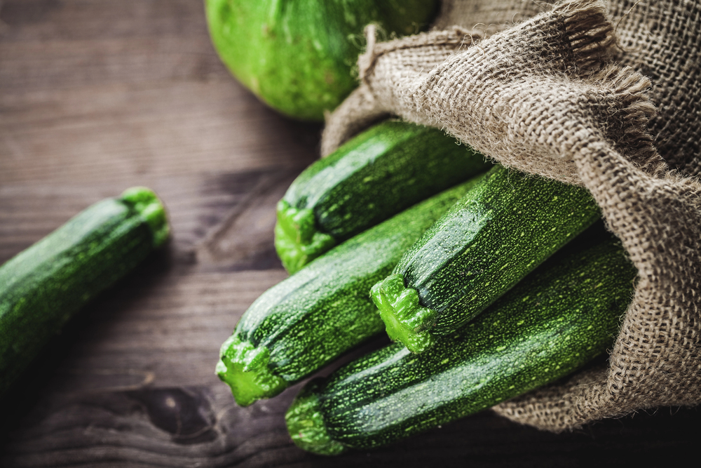Dark green zucchini growing in a garden